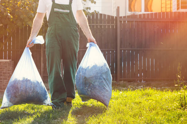 Attic Cleanout Services in Webster, TX